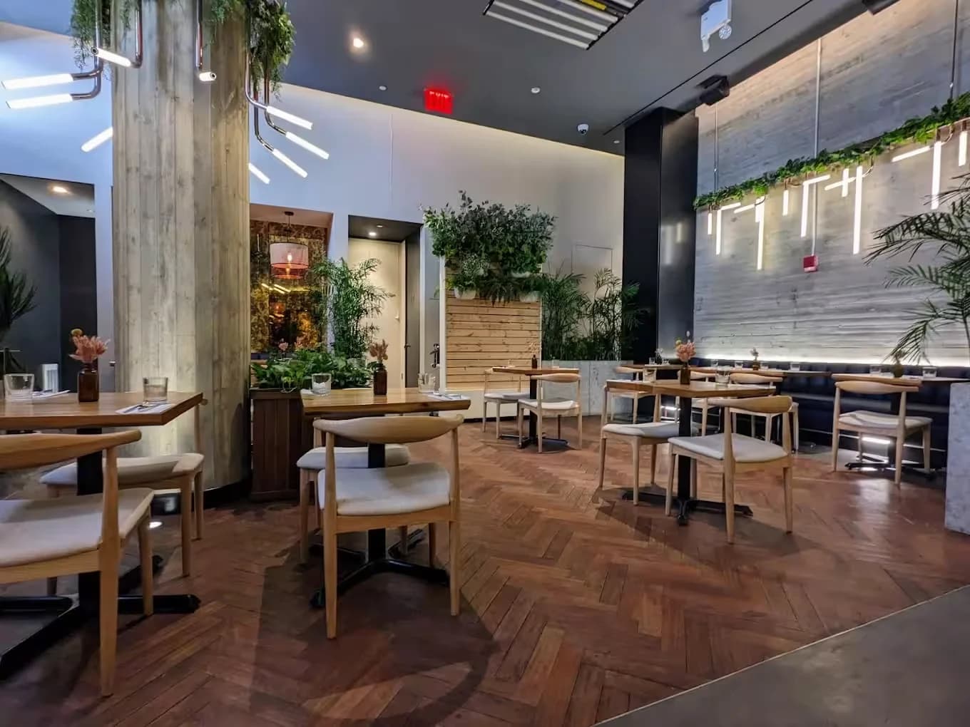 Isla & Co. Midtown