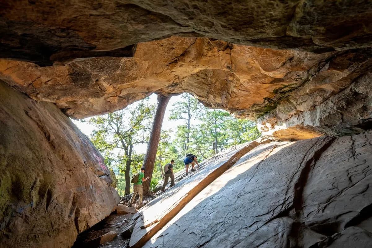 Lookout Kitchen Robbers Cave